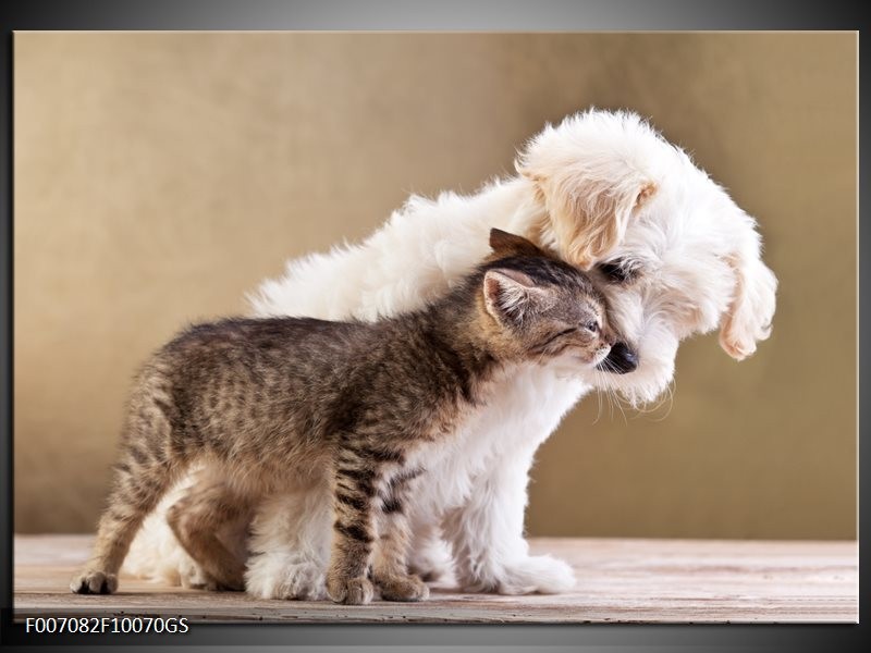 Glas Schilderij Hond, Poes | Bruin, Crème