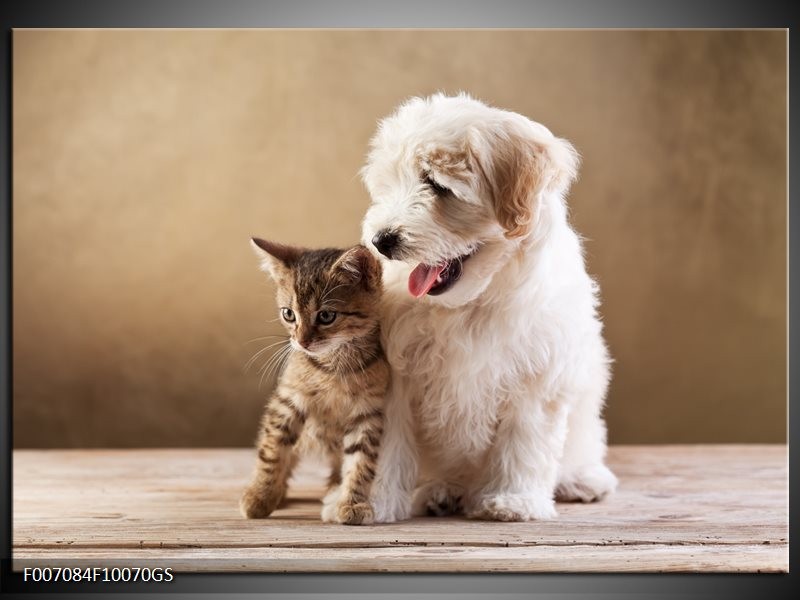 Glas Schilderij Hond, Poes | Bruin, Crème