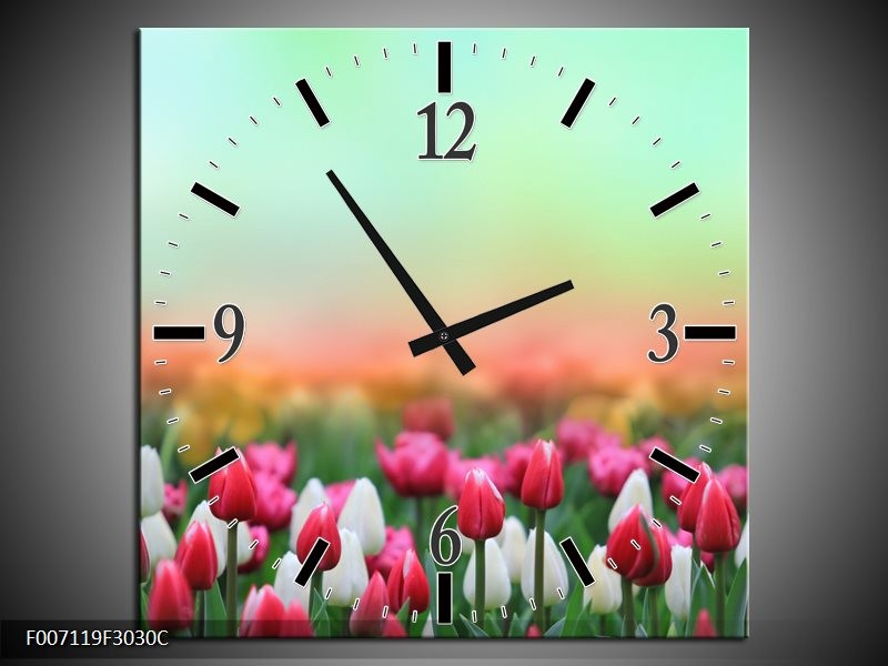 Wandklok Schilderij Tulpen, Bloemen | Groen, Roze, Wit