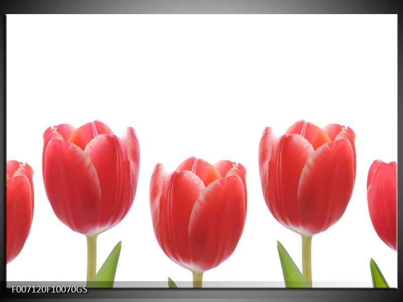 Glas Schilderij Tulpen, Bloemen | Wit, Rood, Groen