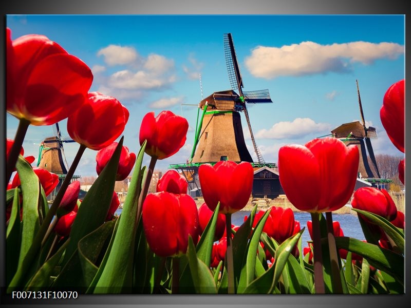 Canvas Schilderij Tulpen, Molen | Rood, Blauw, Grijs