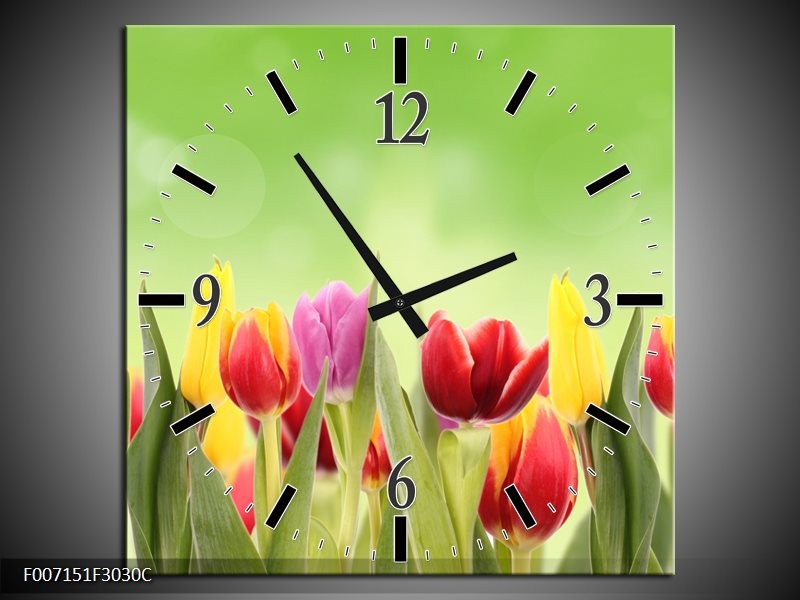 Wandklok Schilderij Tulpen, Bloemen | Groen, Rood, Geel