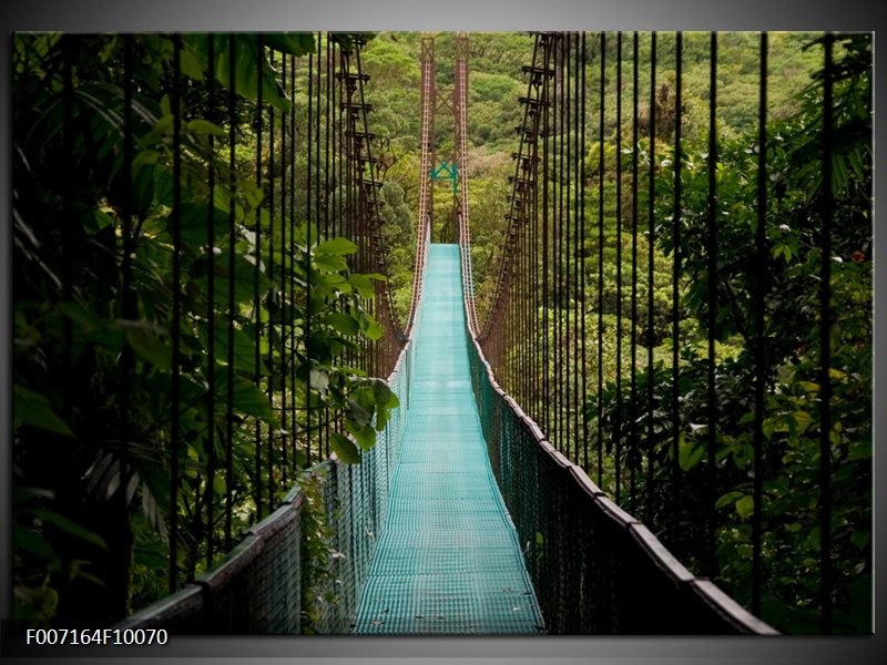 Canvas Schilderij Natuur, Brug | Groen, Blauw, Zwart