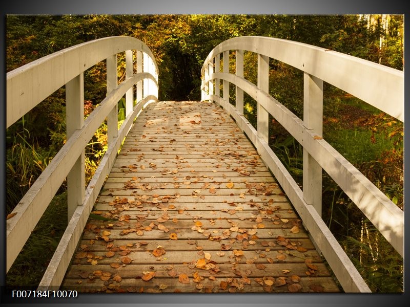 Canvas Schilderij Brug, Natuur | Bruin, Oranje, Crème