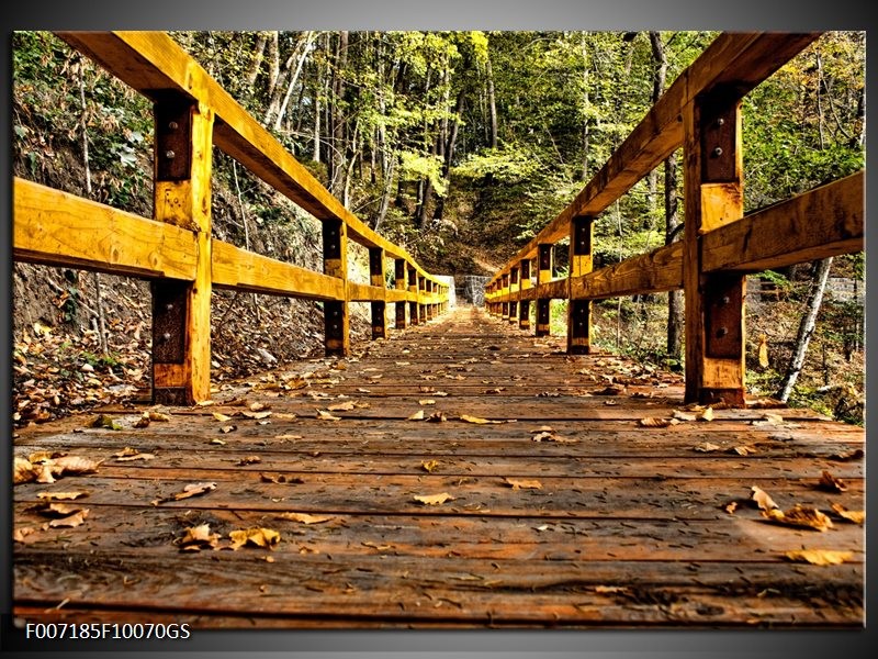 Glas Schilderij Brug, Natuur | Bruin, Geel, Groen