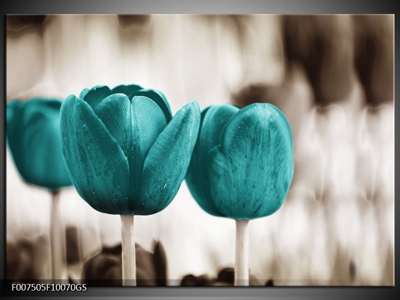 Glas Schilderij Tulpen, Bloemen | Turquoise, Sepia