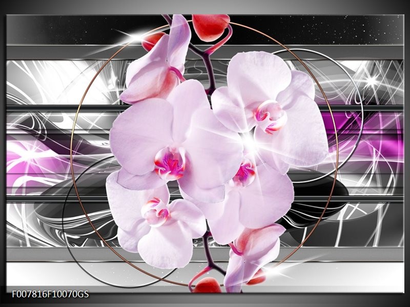 Glas Schilderij Orchidee, Bloemen | Grijs, Paars