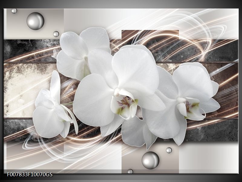 Glas Schilderij Orchidee, Bloemen | Grijs, Wit