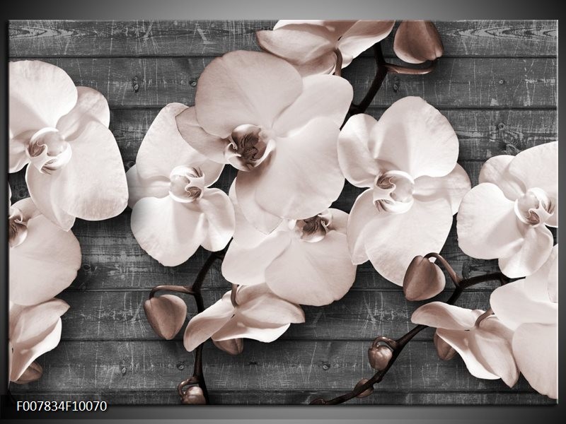 Canvas Schilderij Orchidee, Bloemen | Grijs