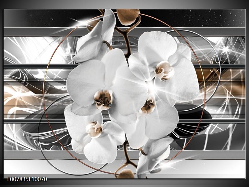 Canvas Schilderij Orchidee, Bloemen | Zilver, Wit