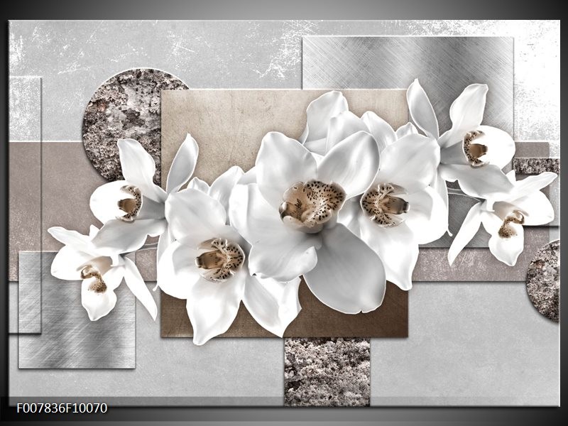 Canvas Schilderij Orchidee, Bloemen | Grijs, Wit