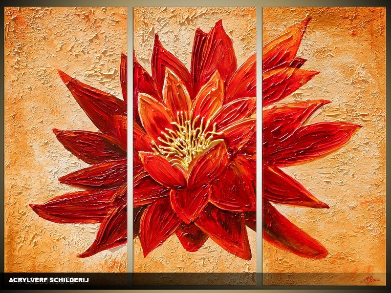 Acryl Schilderij Natuur | Rood, Oranje | 120x80cm 3Luik Handgeschilderd
