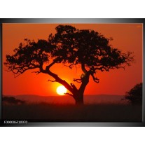 Foto canvas schilderij Boom | Rood, Geel, Zwart 