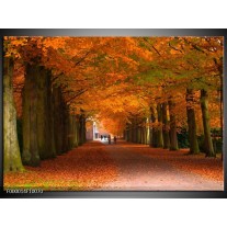 Foto canvas schilderij Herfst | Bruin, Oranje, Groen 