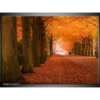 Foto canvas schilderij Herfst | Oranje, Bruin, Groen 