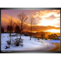 Foto canvas schilderij Winter | Wit, Bruin, Oranje 