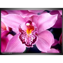 Foto canvas schilderij Orchidee | Paars, Rood, Wit 