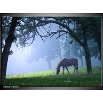 Foto canvas schilderij Paard | Grijs, Groen, Zwart 