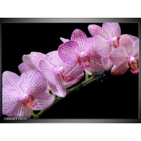 Foto canvas schilderij Orchidee | Paars, Zwart 