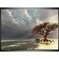 Foto canvas schilderij Boom | Grijs, Bruin, Wit 