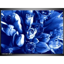 Foto canvas schilderij Bloemen | Blauw, Wit 