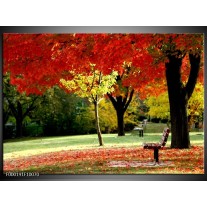 Foto canvas schilderij Park | Rood, Geel, Groen 