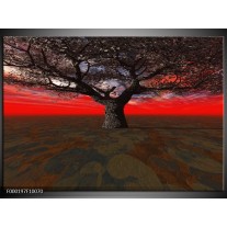 Foto canvas schilderij Boom | Rood, Bruin, Zwart 