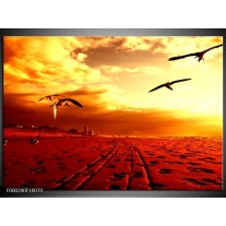 Foto canvas schilderij Vogels | Rood, Geel, Wit 