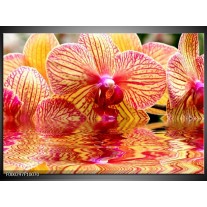 Foto canvas schilderij Orchidee | Geel, Rood, Wit 