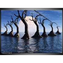 Foto canvas schilderij Bomen | Blauw, Wit, Grijs 