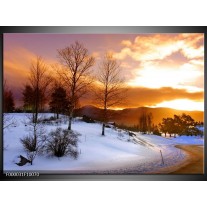 Glas schilderij Winter | Wit, Bruin, Oranje 