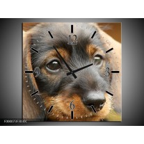 Wandklok op Canvas Hond | Kleur: Grijs, Zwart, Bruin | F000073C