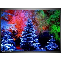 Glas schilderij Kerstboom | Blauw, Groen, Rood 