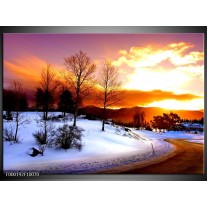 Glas schilderij Winter | Wit, Oranje, Bruin 