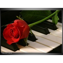 Foto canvas schilderij Roos | Rood, Rood, Zwart 