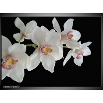 Foto canvas schilderij Orchidee | Wit, Zwart, Geel 