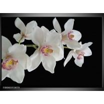 Glas schilderij Orchidee | Wit, Zwart, Geel 