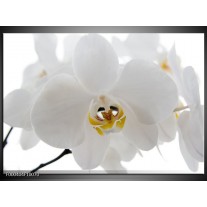 Glas schilderij Orchidee | Wit, Geel,, Zwart 