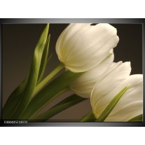 Glas schilderij Tulpen | Groen, Wit, Grijs 