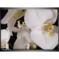 Glas schilderij Orchidee | Wit, Zwart, Geel 