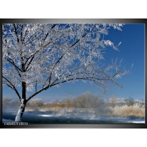 Foto canvas schilderij Boom | Blauw, Wit, Grijs 