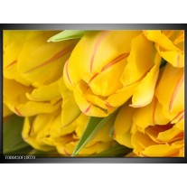 Foto canvas schilderij Tulpen | Geel, Rood, Groen 