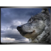 Foto canvas schilderij Wolf | Grijs, Blauw, Wit 