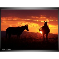 Foto canvas schilderij Paarden | Zwart, Geel, Oranje 