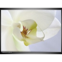 Glas schilderij Orchidee | Wit, Geel, Groen 