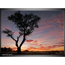 Foto canvas schilderij Boom | Zwart, Paars, Geel 