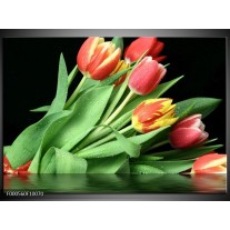 Foto canvas schilderij Tulpen | Rood, Geel, Groen 