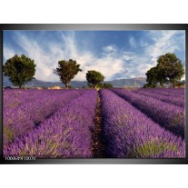 Foto canvas schilderij Lavendel | Paars, Blauw, Wit 