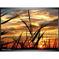 Glas schilderij Zonsondergang | Zwart, Grijs, Geel 