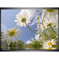 Foto canvas schilderij Natuur | Blauw, Wit, Groen 